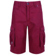 Pantaloncini da uomo Regatta Shorebay Short