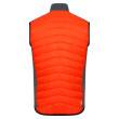 Gilet da uomo Dare 2b MountaineerIIVest