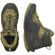 Scarpe da uomo Salomon Elixir Mid Gore-Tex