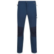 Pantaloni da uomo Regatta Questra V blu scuro MoonLtDn/Nvy