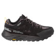 Scarpe da uomo Jack Wolfskin Terraquest Texapore Low M