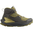 Scarpe da uomo Salomon Elixir Mid Gore-Tex