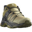 Scarpe da trekking da uomo Salomon X Ultra 4 Gtx