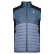 Gilet da uomo Dare 2b MountaineerIIVest blu OrionGry/Gry