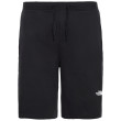 Pantaloncini da uomo The North Face Graphic Short Light-Eu nero Tnf Black