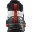 Scarpe da uomo Salomon X Ultra 4 Gore-Tex