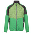 Felpa da uomo Regatta Yare VII verde Field Green/Jasmine Green