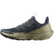 Scarpe da trekking da uomo Salomon Elixir Activ