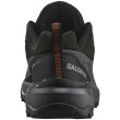 Scarpe da uomo Salomon X Ultra 360 Leather