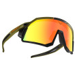 Occhiali da sole Dynafit Sky Evo Sunglasses