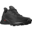 Scarpe da uomo Salomon Alphacross 3 Gore-Tex nero Black(PantoneTapShoe)