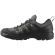 Scarpe da uomo Salomon X Braze Gore-Tex