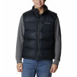 Gilet da uomo Columbia Pike Lake™ II Vest nero Black