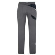 Pantaloni da uomo La Sportiva Bolt Pant M