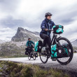 Borsa per portapacchi da bicicletta Ortlieb Back-Roller Free