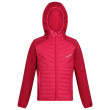 Giacca da bambino Regatta Kielder Hybrid VI rosso PkPotion/Bry