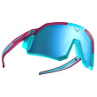 Occhiali da sole Dynafit Sky Evo Sunglasses