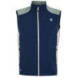 Gilet da uomo Dare 2b Lattitudinal lI Vst