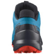 Scarpe da uomo Salomon Speedcross 5 GTX