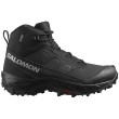 Scarpe da uomo Salomon Crosstrak Waterproof