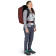 Borsa da viaggio Osprey Fairview 40