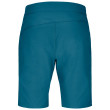 Pantaloncini da uomo Ortovox Brenta Shorts M