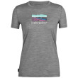 Maglietta da donna Icebreaker Women Tech Lite II SS Tee Trailhead grigio metro hthr