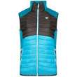 Gilet da uomo Dare 2b MountaineerIIVest azzurro GlfStrm/Blck