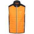 Gilet da uomo Regatta Halton B/W VII arancione Orange Pepper/Black