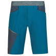 Pantaloncini da uomo Hannah Torres blu/grigio sailor blue/india ink