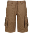 Pantaloncini da uomo Regatta Shorebay Short marrone DarkCamel