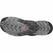 Scarpe da uomo Salomon Xa Pro 3D V9