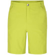 Pantaloncini da uomo Dare 2b Tuned In Short II verde chiaro Green Algae