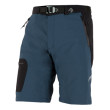 Pantaloncini da uomo Direct Alpine Cruise Short grigio/blu Greyblue/Black