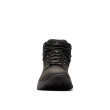 Scarpe da uomo Columbia Newton Ridge™ Plus II Waterproof