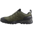 Scarpe da trekking da uomo Salomon X Ward Leather Gore-Tex