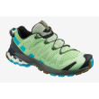 Scarpe da trekking da donna Salomon Xa Pro 3D V8 W verde SpruceStone