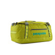 Borsa da viaggio Patagonia Black Hole Duffel 40L verde chiaro PHGN