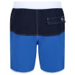 Costume da bagno da uomo Regatta Benicio SwimShort