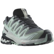 Scarpe da donna Salomon Xa Pro 3D V9