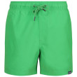 Pantaloncini da uomo Regatta Mawson SwShortIII verde FairwayGreen