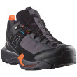 Scarpe da donna Salomon X Ultra Alpine Gore-Tex