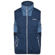 Gilet da uomo Regatta Lankin V blu BluWing/Stlr