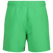 Pantaloncini da uomo Regatta Mawson SwShortIII