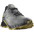 Scarpe da corsa da uomo Salomon Supercross 4 Gore-Tex grigio Pewter