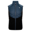 Gilet da donna Dare 2b Surmount II Vest nero/blu OrionGry/Blk