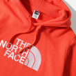 Felpa da uomo The North Face Drew Peak Pullover Hoodie