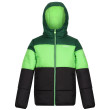 Giacca da bambino Regatta Lofthouse VII verde/nero Eden/Jasmine Green