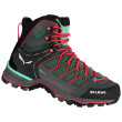 Scarpe da donna Salewa Ws Mtn Trainer Lite Mid Gtx nero/grigio