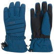 Guanti da sci Dare 2b Charisma III Glove